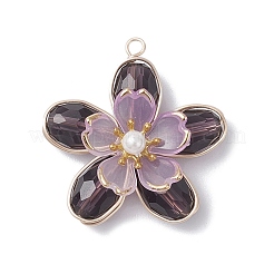 4шт 4 цвета стеклянные подвески&nbsp;PALLOY-TA00319