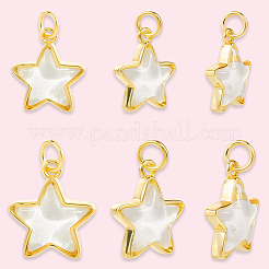 10шт 2 стиля латунные подвески&nbsp;KK-BBC0019-20A