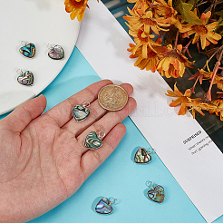 8 шт. подвески в форме сердца из ракушек-абалонов/ракушек пауа&nbsp;PALLOY-GO00048