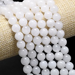 Натуральный Malaysia нефритовые бусы пряди&nbsp;G-L645-B01-10mm-01