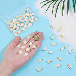 60 шт. подвески из натуральной окрашенной ракушки каури&nbsp;FIND-ME0001-76