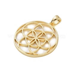 Стойки обшивки латунные подвески&nbsp;KK-A224-02C-G