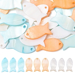 10 шт. Подвески из натуральных ракушек&nbsp;SHEL-YW0001-12