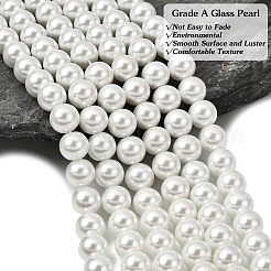 Круглые бусины из экологически чистого окрашенного стекла с жемчугом&nbsp;HY-A002-10mm-RB001