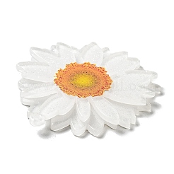 Подвески из прозрачного акрила с принтом&nbsp;X-SACR-P029-B01