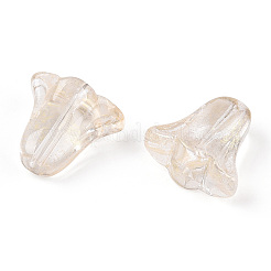 Спрей окрашены прозрачные стеклянные бусины&nbsp;LS-GLAA-D006-20A