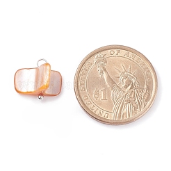 Подвески из натуральных пресноводных ракушек&nbsp;PALLOY-JF01352-03