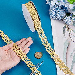 20 ярд полых двухсторонних цветочных кружевных лент из полиэстера&nbsp;SRIB-PH0001-70