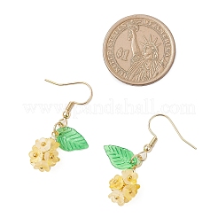 12 пара прозрачных акриловых сережек-подвесок&nbsp;EJEW-JE06558