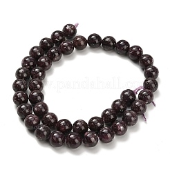 Натуральный лепидолит / пурпурный слюдяный камень бисер пряди&nbsp;G-H335-B03-10mm-A