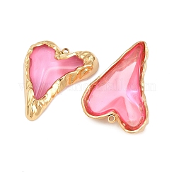 Подвески из нержавеющей стали 304 из смолы&nbsp;STAS-Z187-07G