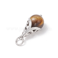 6 шт. 6 подвески в форме слезы из натурального окрашенного зеленого тигрового глаза&nbsp;PALLOY-JF04274