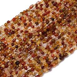 Натуральный красный агат бисер нитей&nbsp;G-I389-A37-01B