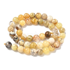 Природные желтые опал бусины пряди&nbsp;G-I213-18-8mm