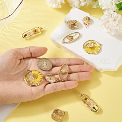 10шт 5 стиля подвески из эпоксидной смолы&nbsp;FIND-TA0008-97