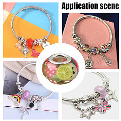 100шт смола с полимерной глиной внутри европейские бусины&nbsp;RESI-PA0001-14B