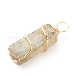 Природные подвески лабрадорита&nbsp;PALLOY-JF01581-01