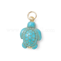 6шт 2 цвета окрашенные подвески из синтетической бирюзы&nbsp;PALLOY-JF05173-01