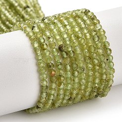 Природный перидот бисер нитей&nbsp;LS-G-B107-A06-01