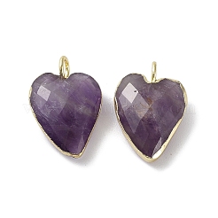 Подвески из натурального аметиста &nbsp;G-G012-11G-08