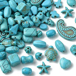 120шт 24 стиля синтетические бирюзовые бусины&nbsp;TURQ-CJ0001-81