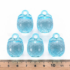 Осенняя тема прозрачные акриловые подвески&nbsp;LS-TACR-T024-04B-946