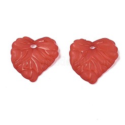 Прозрачные акриловые подвески&nbsp;TACR-S157-01H