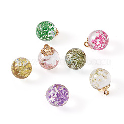 14шт 7 цвета прозрачные стеклянные подвески&nbsp;GLAA-CD0001-06