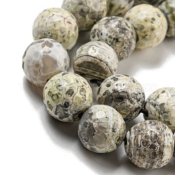 Граненые бусины из натурального огненного агата с треском&nbsp;G-F447-12mm-H03