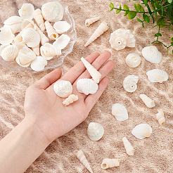 Натуральная оболочка для изготовления наполнителей для ваз для аквариума&nbsp;DIY-WH0002-98