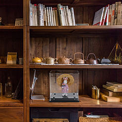 Прямоугольные прозрачные акриловые игрушки фигурки витрины коробки&nbsp;ODIS-WH0038-220B