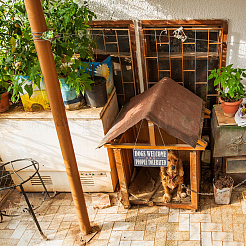 Деревянные украшения&nbsp;WOOD-WH0112-07