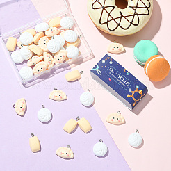 48шт 3 стиля непрозрачные подвески из смолы&nbsp;CRES-SC0003-10