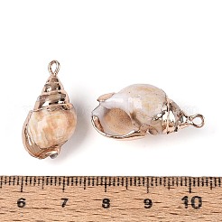 Гальванические подвески из натуральных ракушек&nbsp;BSHE-T015-08