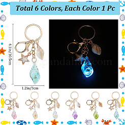 6 шт. 6-цветный светящийся акриловый брелок в виде морской звезды&nbsp;AJEW-SP0001-42