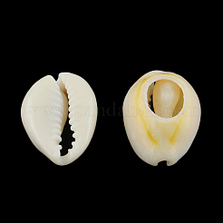 Натуральные смешанные бусины из ракушек каури&nbsp;X-BSHE-S051-01