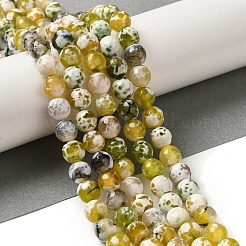 Нити окрашенных и нагретых натуральных агатовых бус с огненным кракелюром&nbsp;G-P539-B01-16