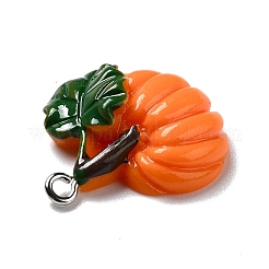 Подвески из непрозрачной смолы на осеннюю тематику RESI-B011-15