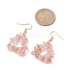 Природные смешанные камень бисер болтающиеся серьги&nbsp;EJEW-JE06388