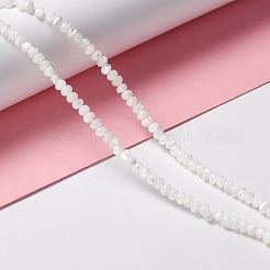 Нити бусин из натуральных трохоидных/трохус ракушек&nbsp;LS-SSHEL-O001-24B-02