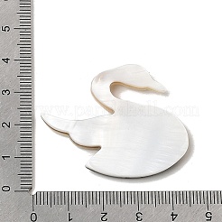 Кабошоны из натуральных пресноводных раковин&nbsp;SHEL-C009-02