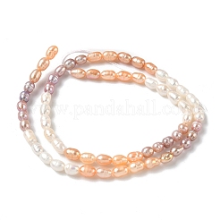 Нити из натурального культивированного пресноводного жемчуга&nbsp;PEAR-C004-14A