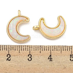 Подвески из полупрозрачной смолы&nbsp;KK-M291-23G-04