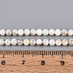 Нити бусин из натуральных пресноводных раковин цвета ab&nbsp;BSHE-T014-40D