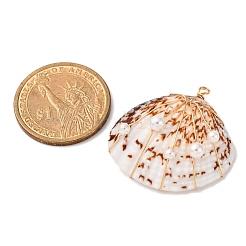 Подвески из медной проволоки из натуральной раковины моллюска&nbsp;PALLOY-TA00268