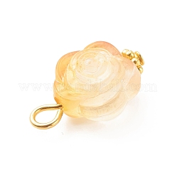 Двухцветные подвески из прозрачного акрила&nbsp;PALLOY-JF01835-01