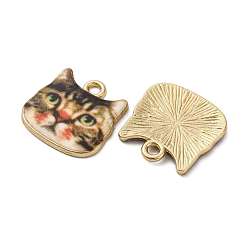 Подвески из эмали и сплава&nbsp;ENAM-V002-04G-04