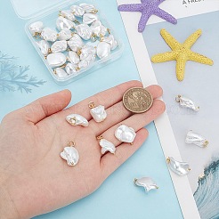 30 шт. 2 стили подвесок из ракушек и жемчуга&nbsp;PALLOY-AR00007