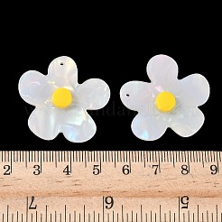 Непрозрачные акриловые подвески&nbsp;LS-FIND-K024-02A