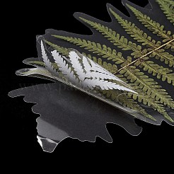 6 шт. клейкие водонепроницаемые наклейки для домашних животных&nbsp;DIY-K074-01E